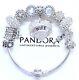 Authentic Pandora Charm Bracelet Silver Wife Love Story European Beads. Nib