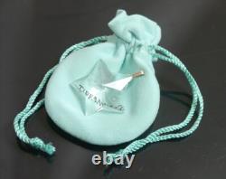 Authentic Tiffany & Co. Charm Necklace Top Star Glass Sterling Silver #1945