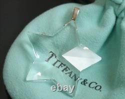 Authentic Tiffany & Co. Charm Necklace Top Star Glass Sterling Silver #1945