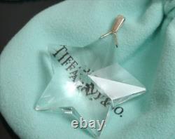 Authentic Tiffany & Co. Charm Necklace Top Star Glass Sterling Silver #1945