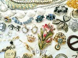 Big 170pc Vintage Signed Jewelry Lot 20 Designers Juliana Schreiner Warner ++A15