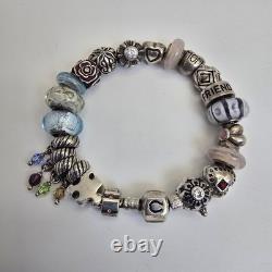 Chamilia Sterling Silver Charm Bracelet 22 Charms Mom Friend Hearts Murano Glass