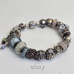 Chamilia Sterling Silver Charm Bracelet 22 Charms Mom Friend Hearts Murano Glass