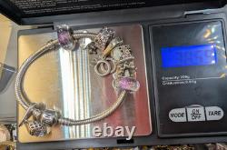 Pandora Sterling Silver Bracelet Chamilia Charms Lot 925 Murano Glass Love Rings