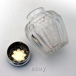 Tea Caddy Cut Glass Body Sterling Silver Lid 1890 Engraved Bee