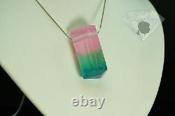 Tourmaline Crystal Artisan Art Glass Jeremy Sinkus Sterling Pendant Necklace