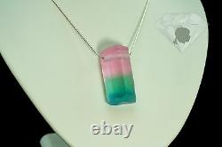 Tourmaline Crystal Artisan Art Glass Jeremy Sinkus Sterling Pendant Necklace