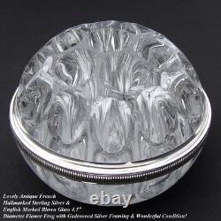 Vintage French Sterling Silver & Blown Glass 4.5 Flower Frog, Vase, Centerpiece