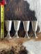 Vintage Gorham Sterling Silver Cordial Footed Cup Shot Glass, Set Of 4