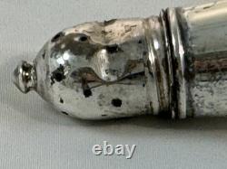 Vintage Garden Sterling Silver Salt And Pepper Shakers Glass Lined