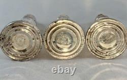 Vintage Garden Sterling Silver Salt And Pepper Shakers Glass Lined