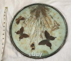 Vintage Sterling Silver 637 Framed Butterfly Glass Display Tray 14 Decor