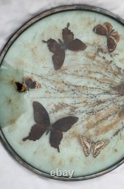 Vintage Sterling Silver 637 Framed Butterfly Glass Display Tray 14 Decor