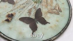 Vintage Sterling Silver 637 Framed Butterfly Glass Display Tray 14 Decor