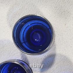 Vintage Sterling Silver Overlay Cobalt Blue Glass Decanter / Shot Glass Set 12pc